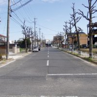 市民意見