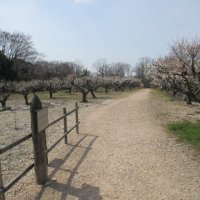 都市計画緑地