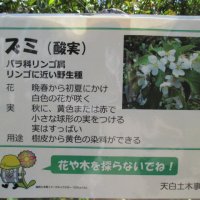 市民意見の陳情