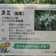 学術検証委員会に対する市民意見の一覧